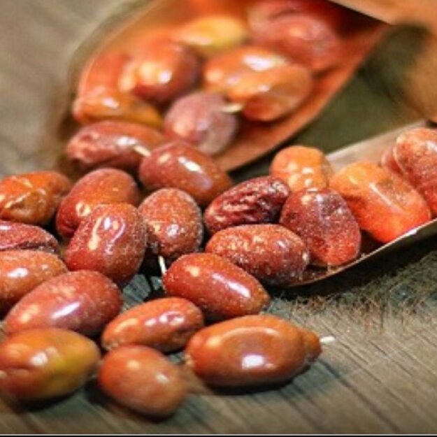 سنجد نرم 200 گرمی آسا