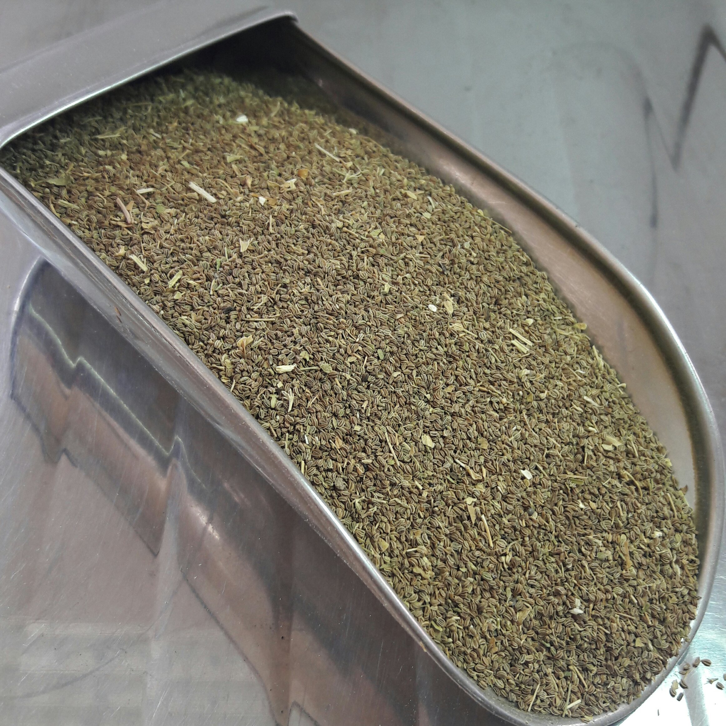 بدر کرفس 100 گرمی آسا