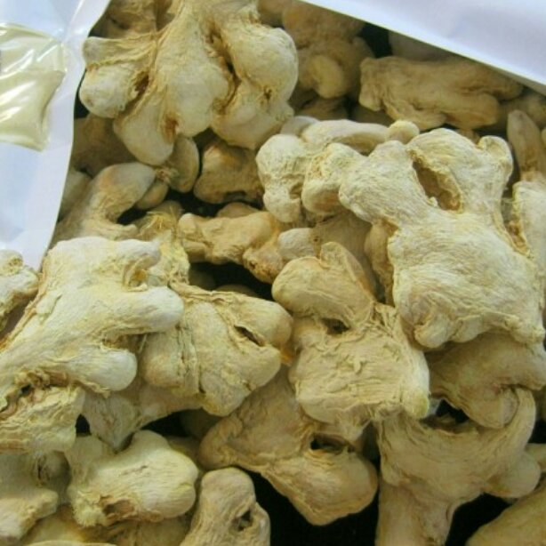 زنجبیل قلم  100 گرمی