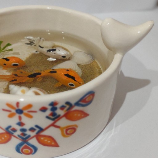 توضیحات تصویر