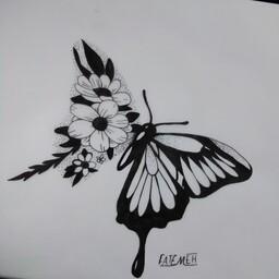 طراحی راپید پروانه