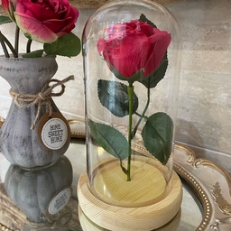 ماکت شیشه ای گل رز خانه سفید