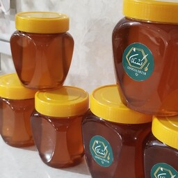 عسل اصل و طبیعی بدون هییییچ گونه شکر گَشتلان در سایز  نیم کیلویی .تولید در زنبور داری خودمون