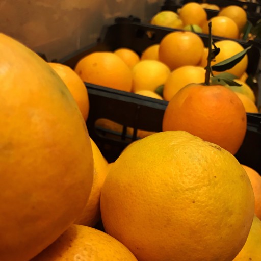 پرتقال خشک 1 کیلوگرمی بهارنارنج