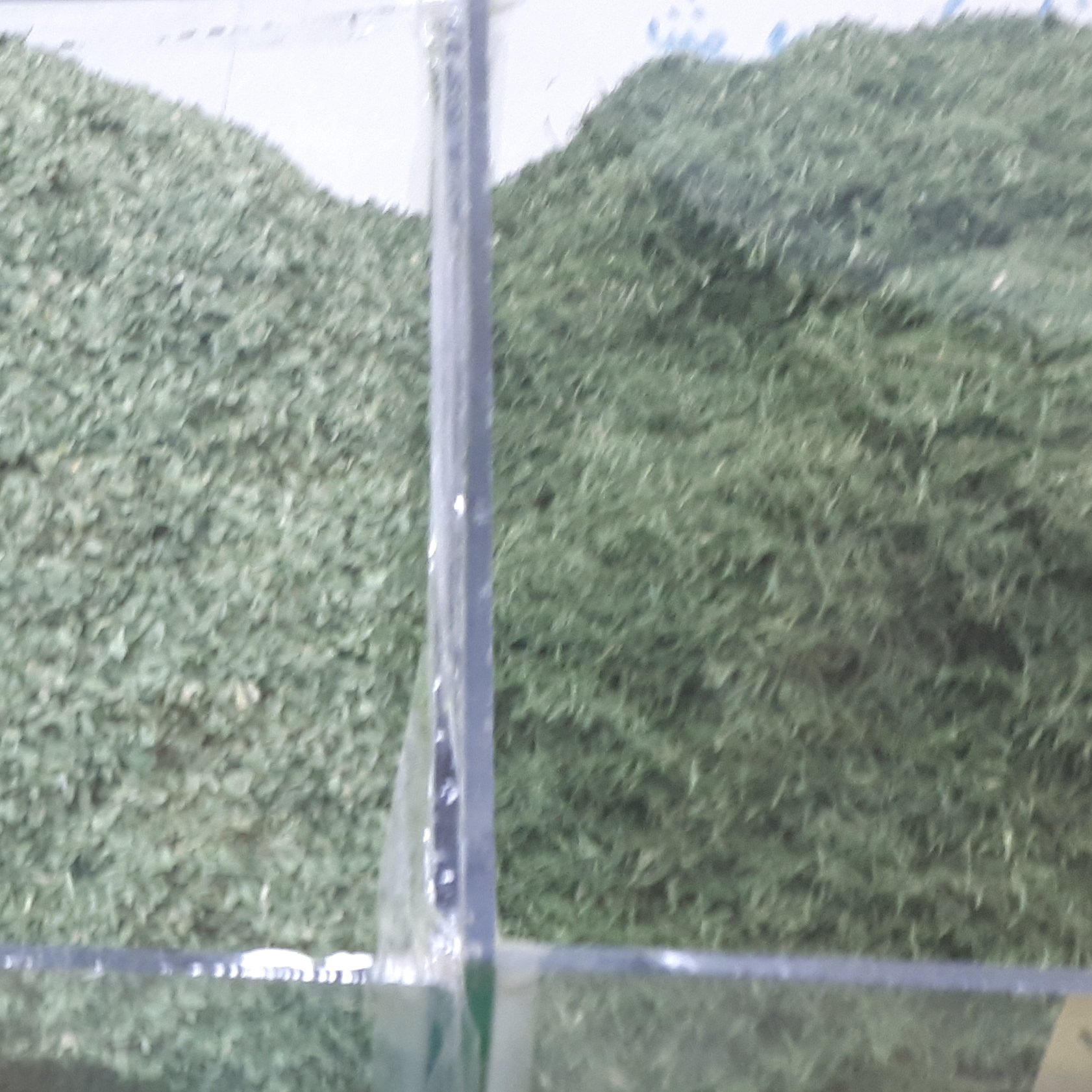 سبزی خشک (شوید)