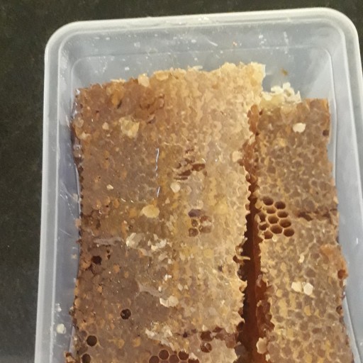 عسل وحشی(2کیلو)کاملا طبیعی بدون هیچ تغدیه به زنبورها با ضمانت