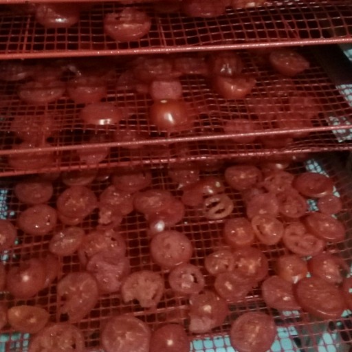 گوجه خشک (کچاپ)