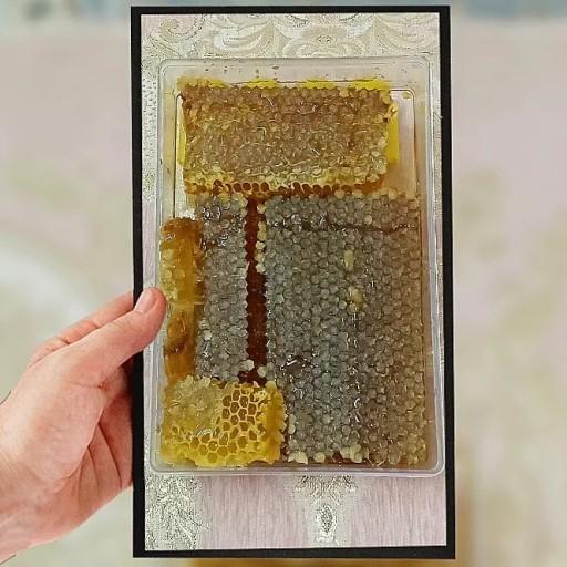 عسل طبیعی درجه یک در بسته بندیهای کریستالی