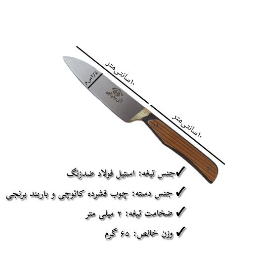 چاقو دم دستی مروارید زنجان با تیغه  استیل  فولاد و دسته کائوچی با ارسال رایگان 