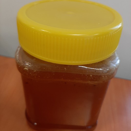 عسل درمانی چهل گیاه 500 گرمی