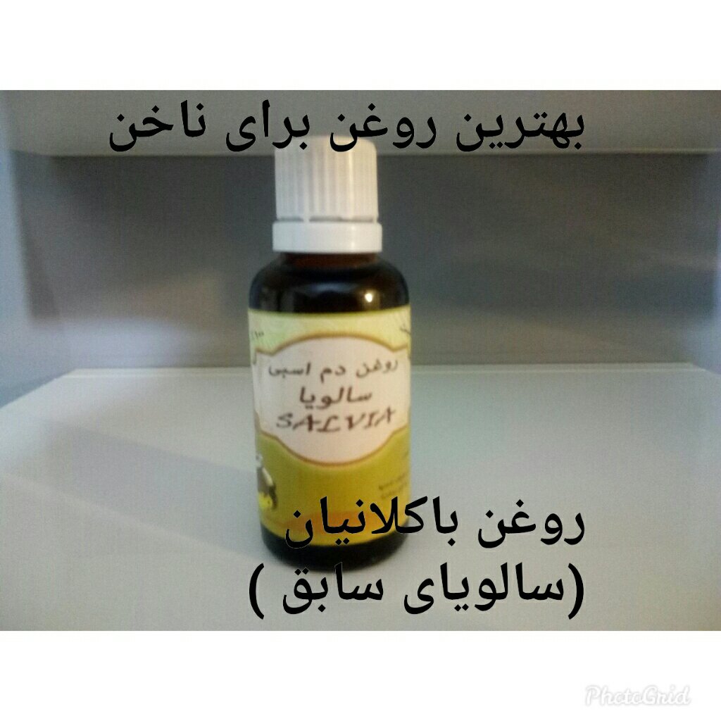 روغن دم اسبی