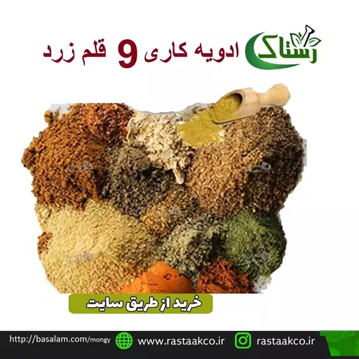 ادویه کاری 9قلم زرد گیاهی تبریز رستاک (100گرمی )