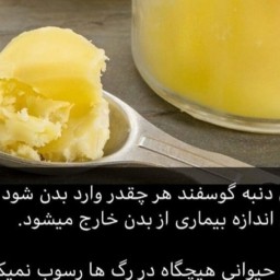روغن دنبه گوسفندی خانگی 500 گرمی