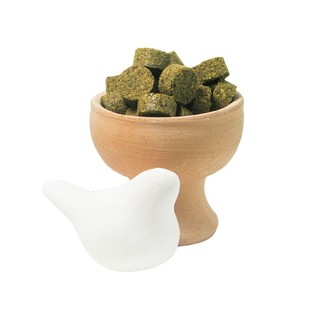 سیدالادویه مرکب 10 حبی (سبک زندگی و طب اسلامی شیعی)