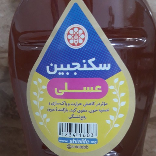 سکنجبین عسلی (سبک زندگی و طب اسلامی شیعی)