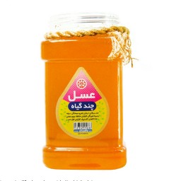 عسل چندگیاه 1 کیلویی (سبک زندگی و طب اسلامی شیعی) تغذیه