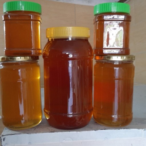 عسل طبیعی مرکبات 2 کیلوگرمی (ایده ال )