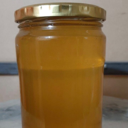 عسل طبیعی گون (یک کیلوگرم ) ایده ال