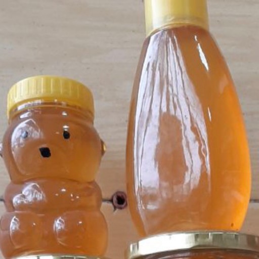 عسل طبیعی (250 گرمی ) ایده ال