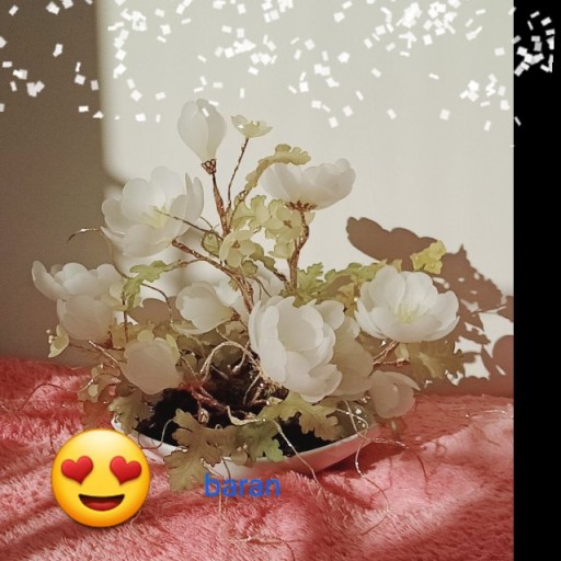 گل کریستالی، سفید رنگ با گلدان سفید قایقی چینی
