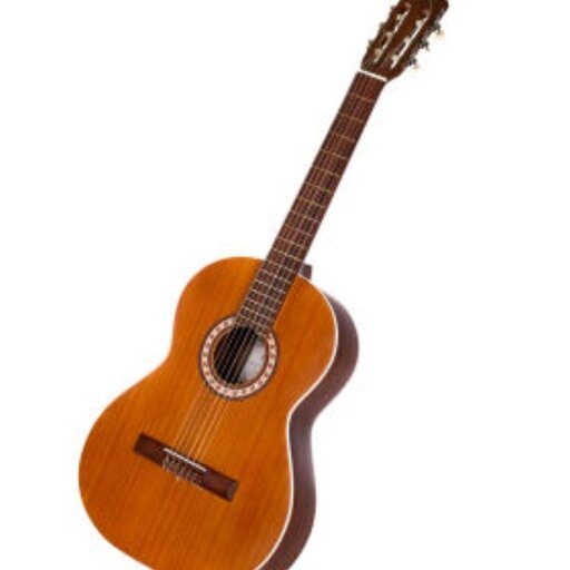 فروش فوق العاده گیتار  پارسی مدل m5