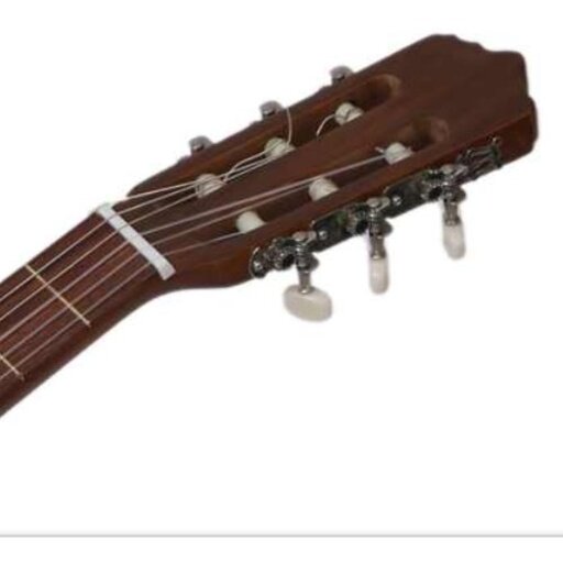 فروش فوق العاده گیتار  پارسی مدل m5