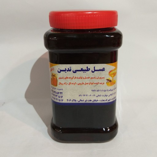 عسل چهل گیاه طبیعی تدین 900 گرمی ( مستقیم از زنبوردار)