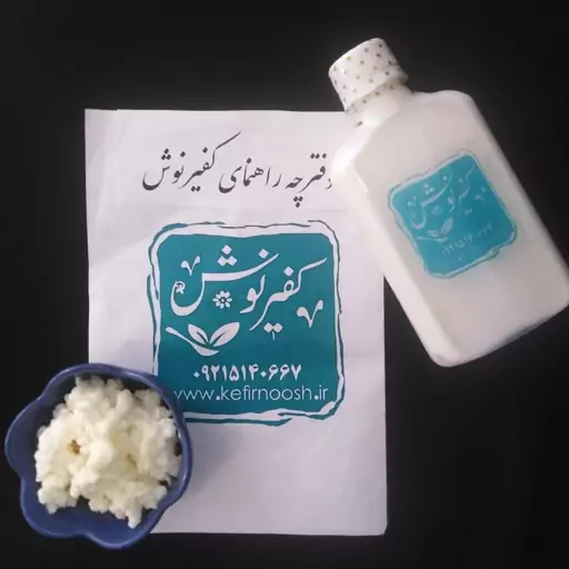 قارچ کفیر گل کلمی ارسال رایگان  در بسته بندی پلمپ بهداشتی