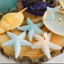 شمع ستاره دریایی