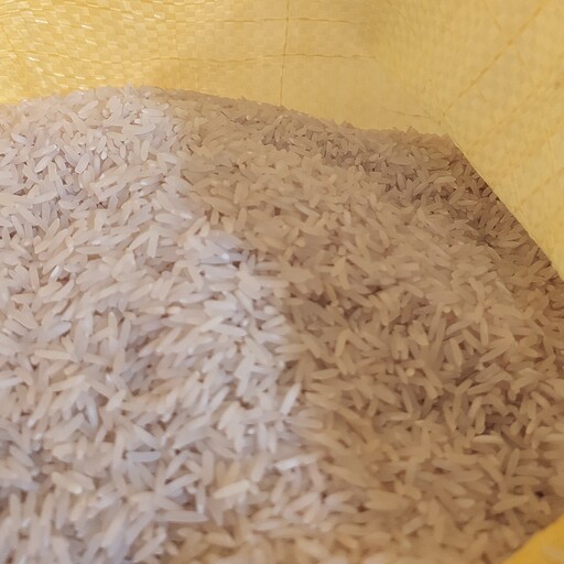 برنج طارم شمال با بهترین کیفیت و پخت و با قیمت ارزان 