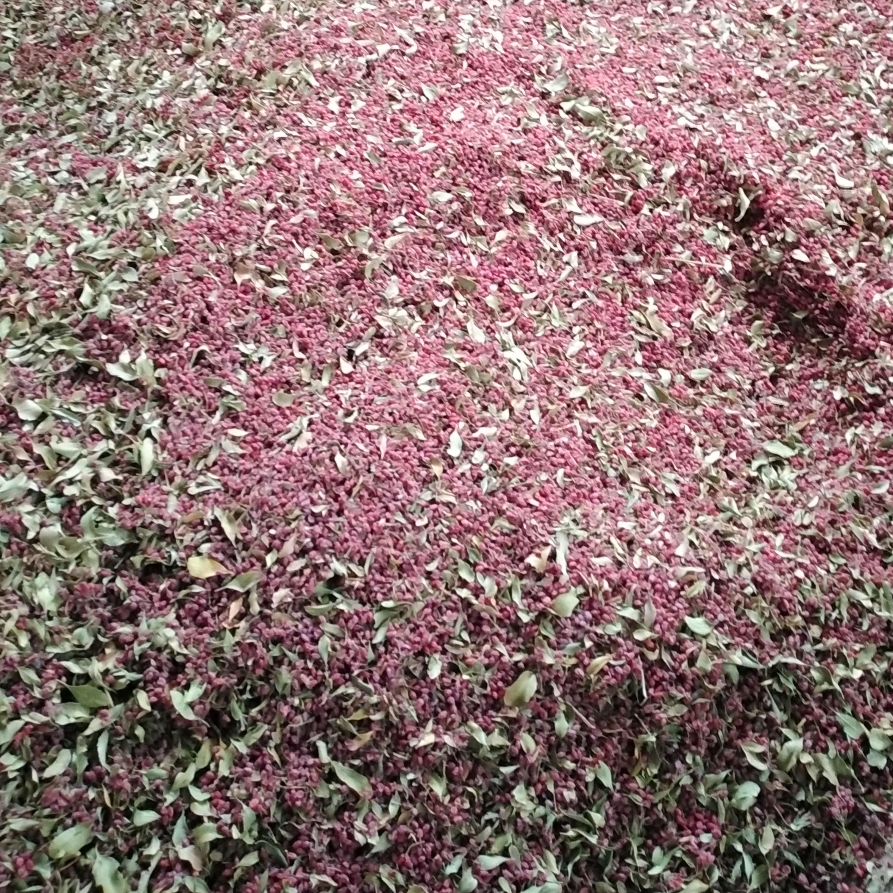 زرشک اناری درجه یک  قائنات 