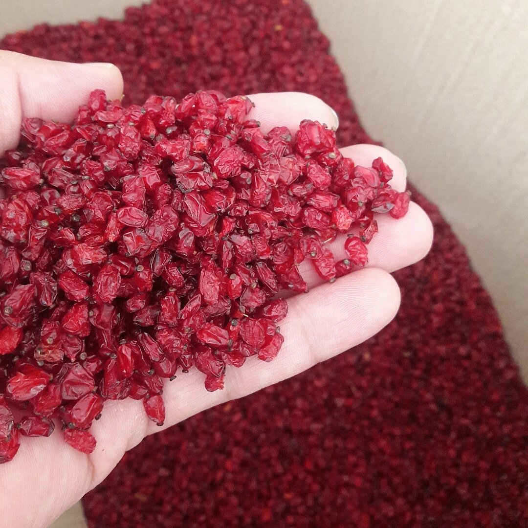 توضیحات تصویر