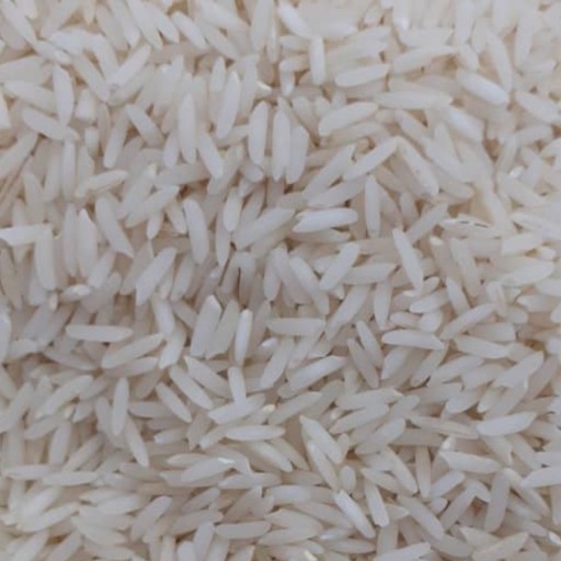 برنج هاشمی آستانه اشرفیه 10 کیلویی بادومیا ارسال رایگان