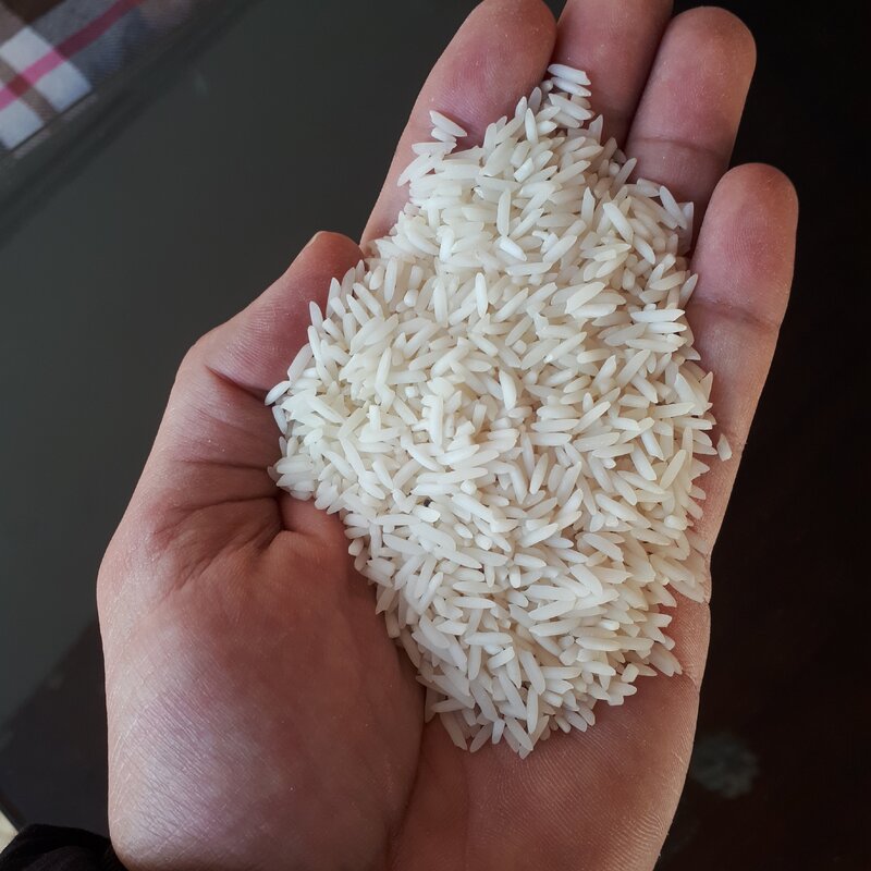 برنج شیرودی بدون الک گیلان