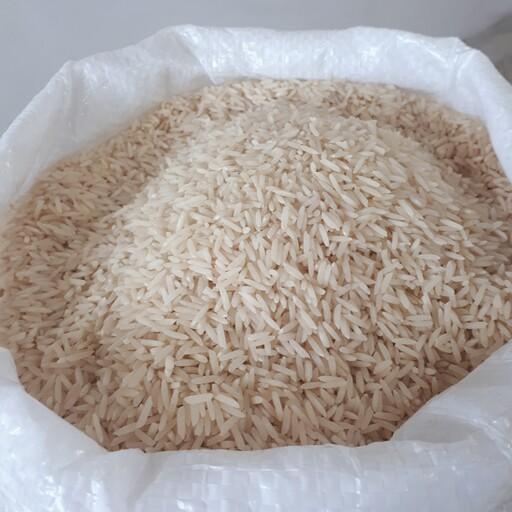 برنج شیرودی 