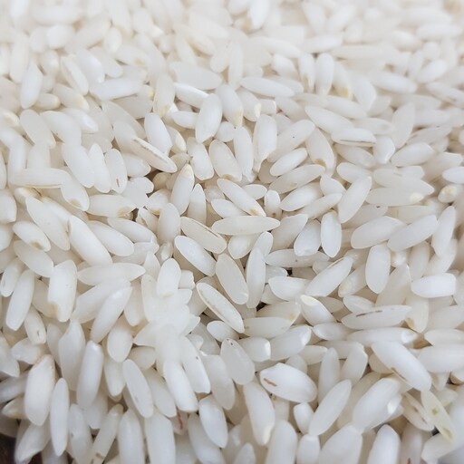 برنج چمپا پارسیان فوق ممتاز معطر امساله(10کیلو) 