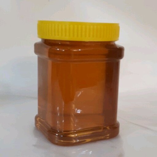 عسل شبدر طبیعی یک کیلویی طعام البرکت 