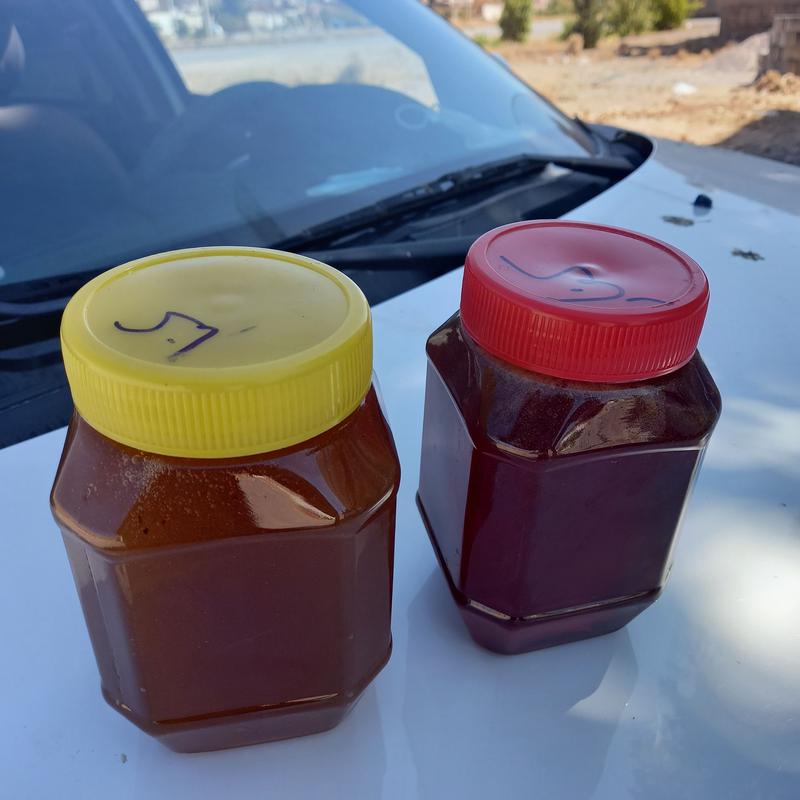 عسل کنار (گرمسیری)محصولی از شهرهای جنوبی فارس