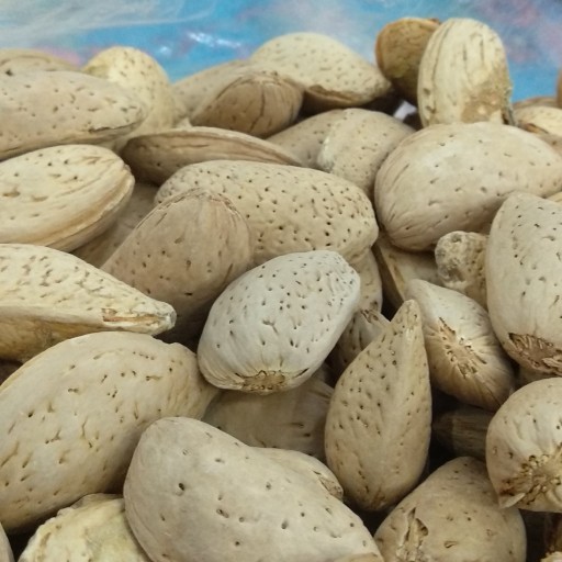 بادام سنگی- پوست محکم - خوش طعم  ( بسته 3 کیلوگرمی)