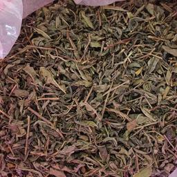 چای سبز قلم بهاره 1402  (450گرمی)
