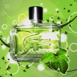 عطر  لاگوست اسنشیال   Lacoste Essential خلوص 100 درصد 