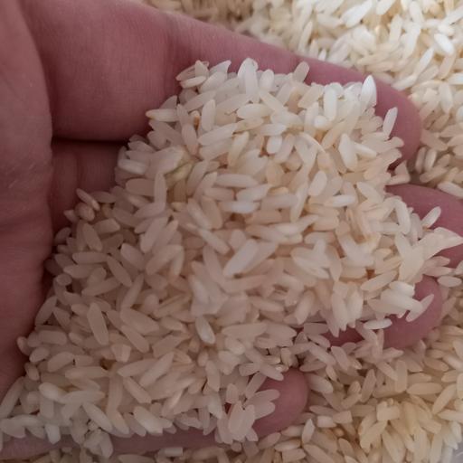 برنج لنجان معطر  5ستاره  اعلا درجه یک 10 کیلویی با ارسال رایگان 