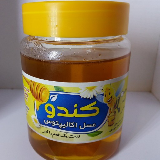عسل طبیعی اکالیپتوس (تولید شده از شهد گل های اکالیپتوس توسط زنبور عسل)