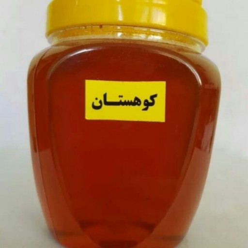 عسل طبیعی کوهستان (نیم کیلوی)