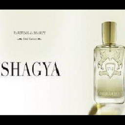 عطر شاگیا 5 میل