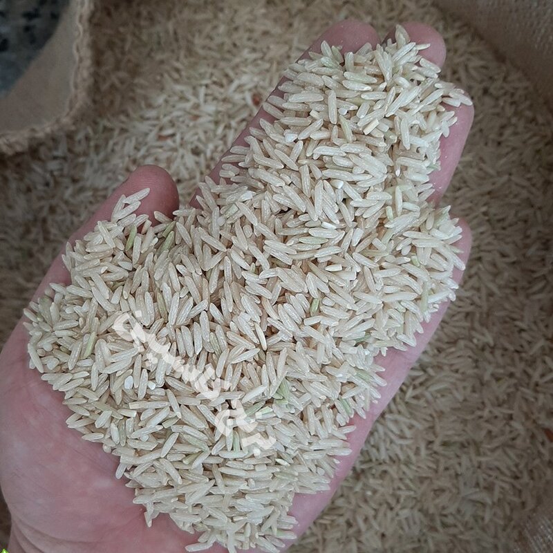 برنج قهوه ای هاشمی 10کیلویی (ارسال رایگان) 