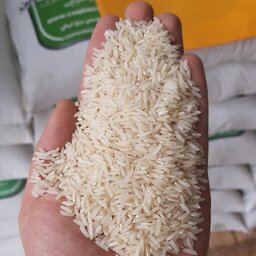 برنج راتون (جگل یا دونوج)  10کیلویی (ارسال رایگان 