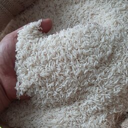 برنج طارم فریدون کنار  10 کیلویی (ارسال رایگان) 