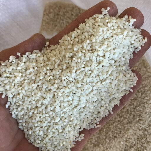 برنج نیم دانه فجر درجه یک 10 کیلویی محصول گیلان (ارسال رایگان)