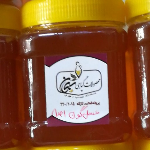 عسل گون اصلی به شرط آزمایش 500 گرم ارسال رایگان